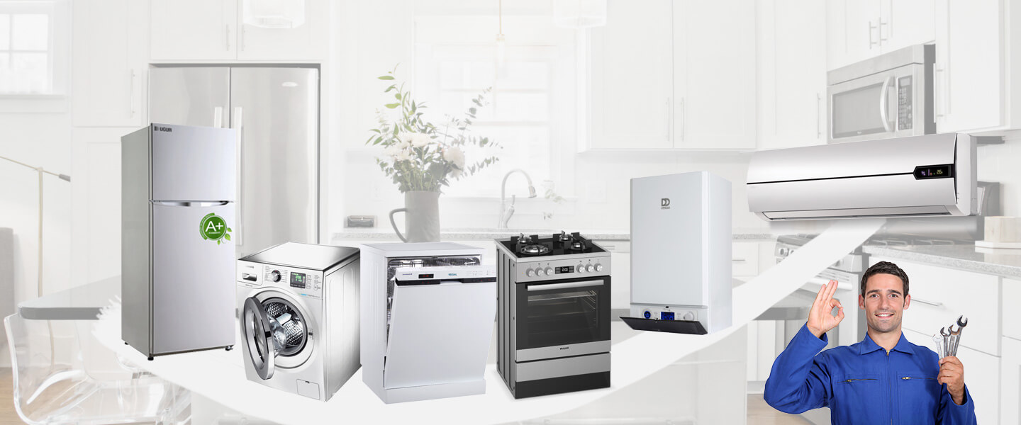 Küçükyalı Electrolux Servisi